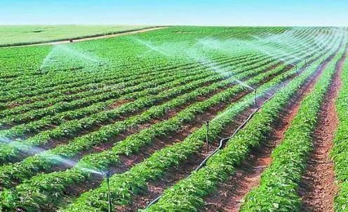 SEDIAOWANG农田高 效节水灌溉